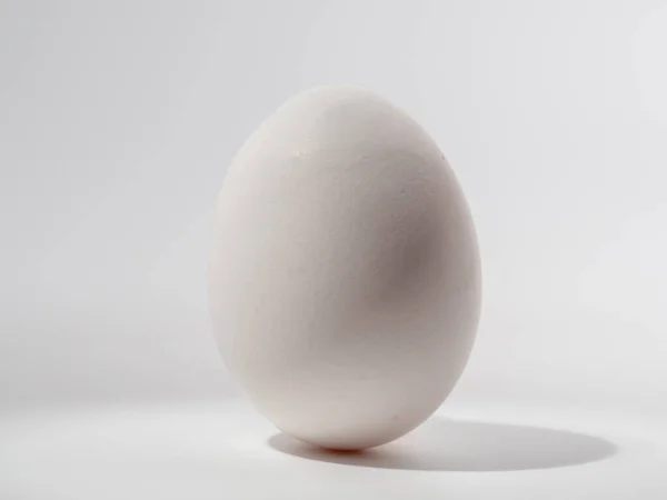 Uova Pollo Sfondo Bianco Uovo Bianco Sfondo Bianco Primo Piano — Foto Stock