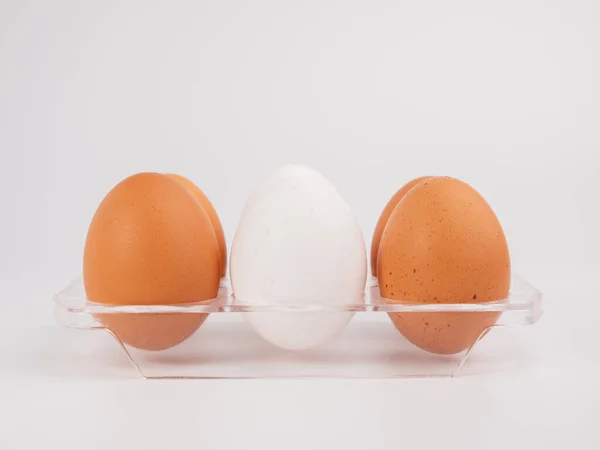 stock image Chicken eggs on a white background. White and brown egg on a white background. Close-up.