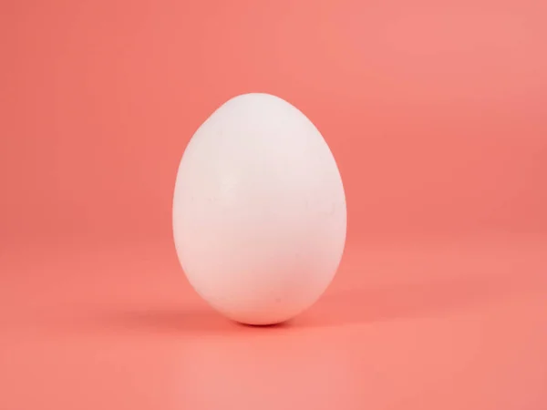 Pembe Arka Planda Tavuk Yumurtası Pembe Arka Planda Beyaz Yumurta — Stok fotoğraf