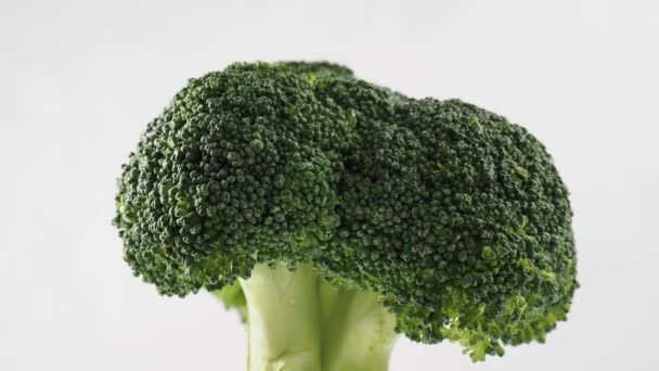 Broccoli Huvudet Roterar Vit Bakgrund Broccoli Ljus Bakgrund Högkvalitativ Film — Stockvideo