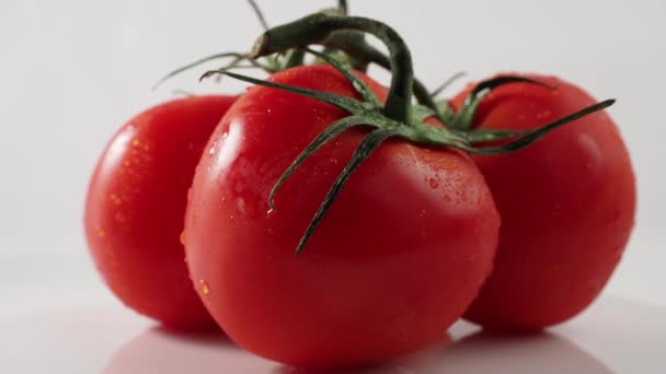Rotación Tomates Rojos Sobre Fondo Blanco Rotación Tomates Maduros Imágenes — Vídeos de Stock