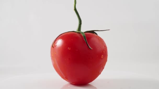 Rotacja Czerwonych Pomidorów Białym Tle Rotacja Dojrzałych Pomidorów Wysokiej Jakości — Wideo stockowe