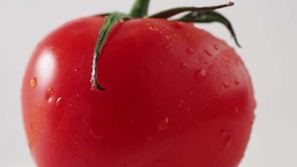 红色西红柿在白色背景上的轮作 成熟番茄的轮作 高质量的4K镜头 — 图库视频影像