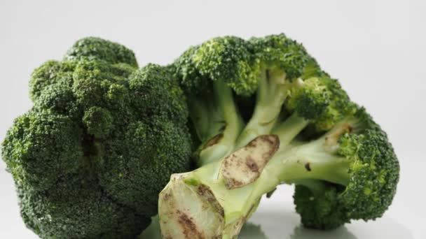 Broccoli Kop Draait Een Witte Achtergrond Broccoli Een Lichte Achtergrond — Stockvideo