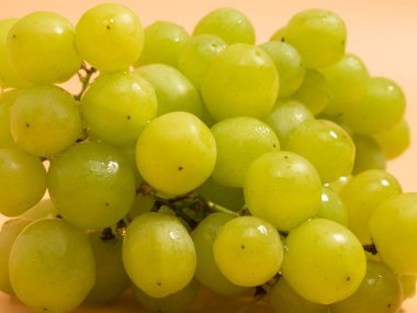 Green grapes. Ripe grapes on an orange background. Close-up.