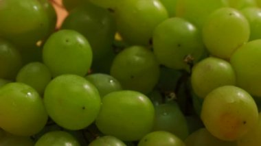 Rotating green grapes. Ripe green grapes. Close-up.