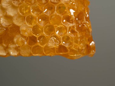 Honey drips from honeycombs. Honeycombs on a gray background. Close-up.