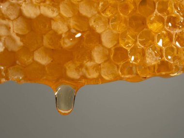 Honey drips from honeycombs. Honeycombs on a gray background. Close-up.
