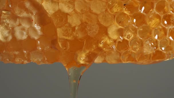 Honey Drips Honeycombs Honeycombs Gray Background — Video Stock