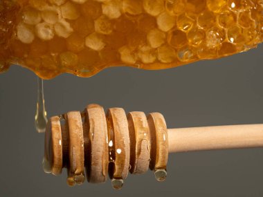 Honey drips from honeycombs onto a wooden honey spoon. Honeycombs on a gray background. Close-up.