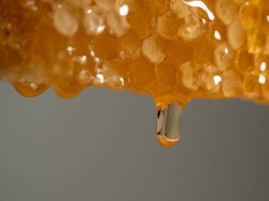 Honey drips from honeycombs. Honeycombs on a gray background. Close-up.