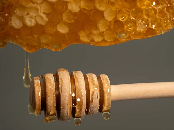 Honey drips from honeycombs onto a wooden honey spoon. Honeycombs on a gray background. Close-up.