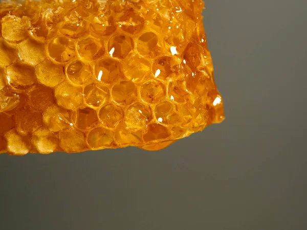 Honey drips from honeycombs. Honeycombs on a gray background. Close-up.