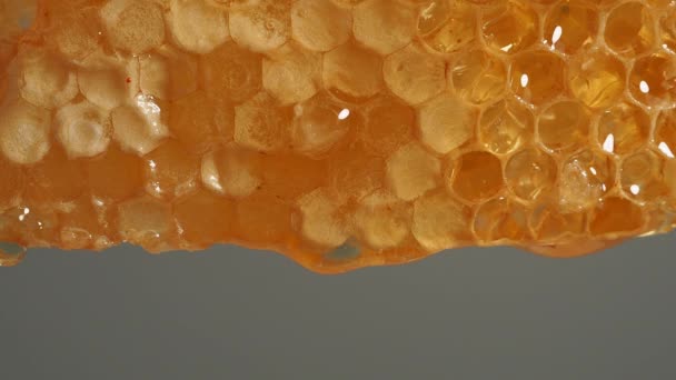 Honey Drips Honeycombs Honeycombs Gray Background — Stock Video