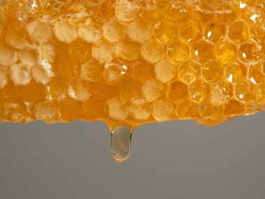 Honey drips from honeycombs. Honeycombs on a gray background. Close-up.