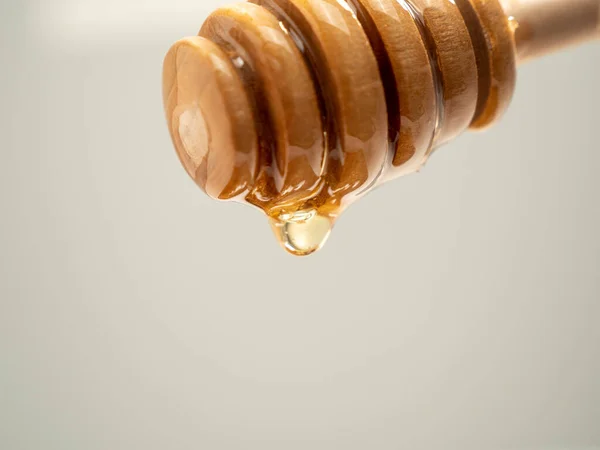 Honey is dripping from a wooden honey spoon. Honey spoon on a gray background. Close-up.
