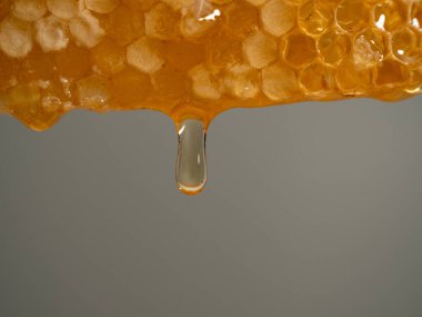 Honey drips from honeycombs. Honeycombs on a gray background. Close-up.