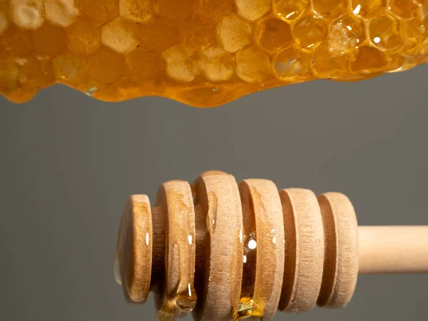 Honey drips from honeycombs onto a wooden honey spoon. Honeycombs on a gray background. Close-up.