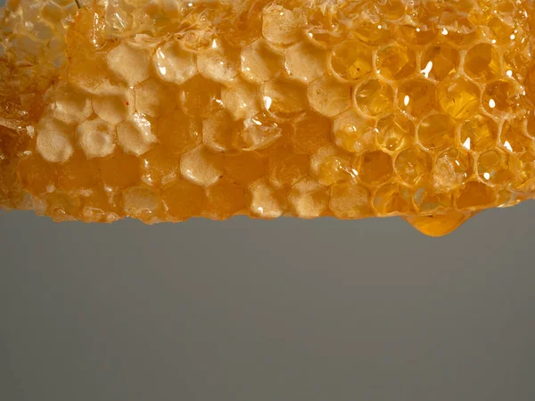 Honey drips from honeycombs. Honeycombs on a gray background. Close-up.