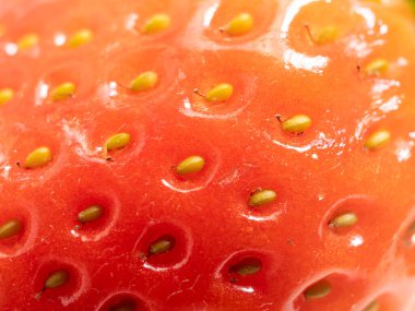 Ripe strawberries. Strawberries close up. Red strawberry. Macro photo of strawberries.