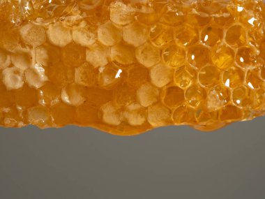 Honey drips from honeycombs. Honeycombs on a gray background. Close-up.