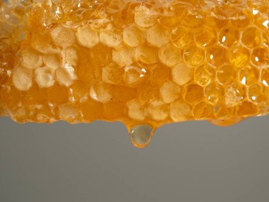 Honey drips from honeycombs. Honeycombs on a gray background. Close-up.