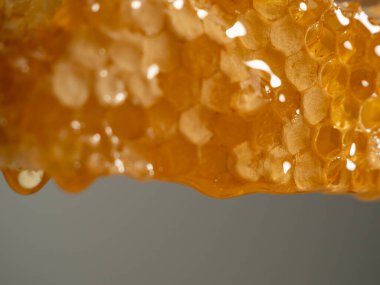 Honey drips from honeycombs. Honeycombs on a gray background. Close-up.