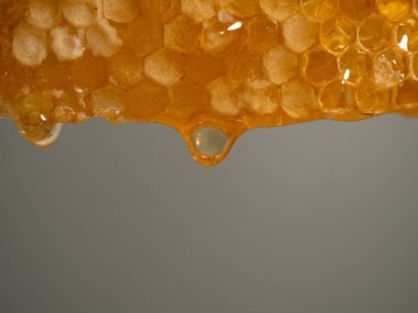 Honey drips from honeycombs. Honeycombs on a gray background. Close-up.