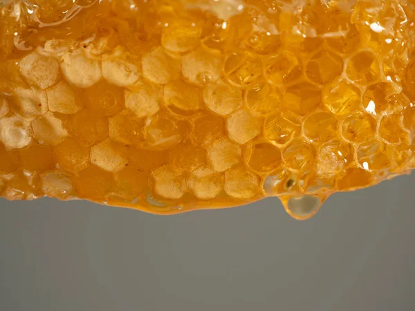 Honey drips from honeycombs. Honeycombs on a gray background. Close-up.