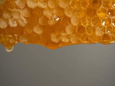 Honey drips from honeycombs. Honeycombs on a gray background. Close-up.