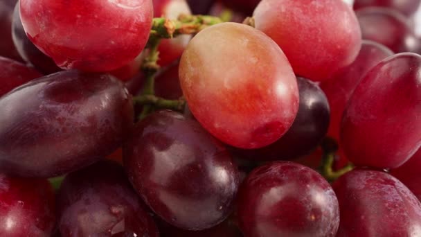 Dojrzałe Soczyste Winogrona Obracające Się Białym Tle Zbliżenie — Wideo stockowe