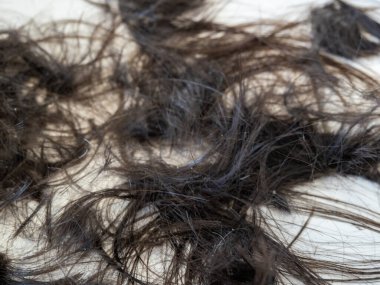 Aydınlık bir zeminde kesilmiş saçlar. Kuaför. Yakın plan..