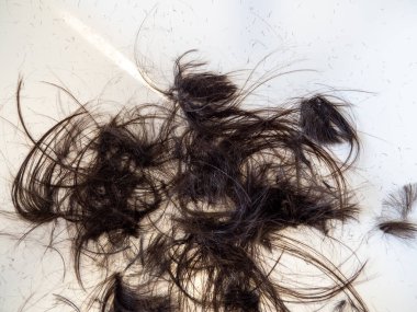 Aydınlık bir zeminde kesilmiş saçlar. Kuaför. Yakın plan..