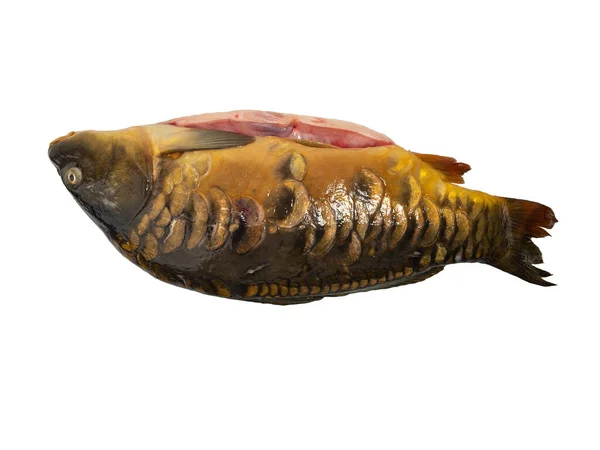 Karpfenfisch Isoliert Auf Weißem Hintergrund Karpfen Auf Weißem Hintergrund Nahaufnahme — Stockfoto