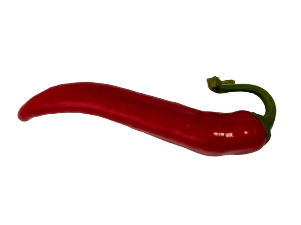红辣椒在白色背景下分离 调味品 — 图库照片