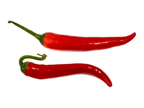Red Chili Pepper Isolated White Background Seasoning — Stock Photo, Image