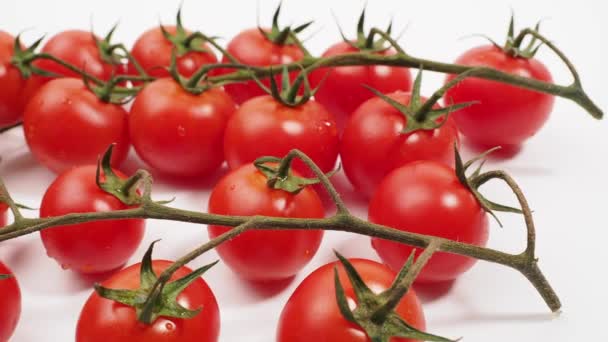 緑色の茎を持つ新鮮な赤いトマトの束は白い背景に隔離されています トマトのクローズアップ — ストック動画