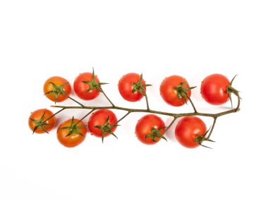 Beyaz arka planda izole edilmiş yeşil saplı bir avuç taze kırmızı domates. Domatesler yakın plan..