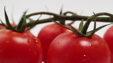 Beyaz arka planda izole edilmiş yeşil saplı bir avuç taze kırmızı domates. Domatesler yakın plan..