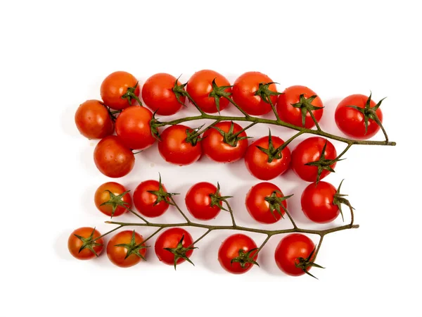 一束新鲜的红色西红柿 绿色的茎被白色的背景隔开 扫墓特写 — 图库照片