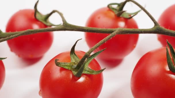 緑色の茎を持つ新鮮な赤いトマトの束は白い背景に隔離されています トマトのクローズアップ — ストック動画
