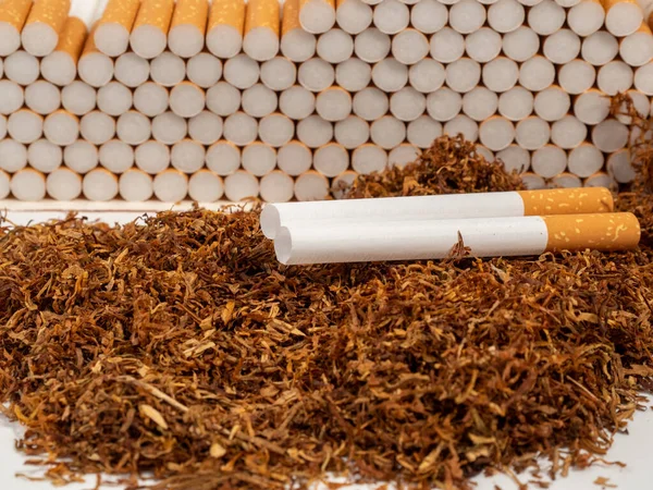 Καπνός Και Ταμπακιέρες Τσιγάρα Και Καπνός Κοντινό Πλάνο Καπνού — Φωτογραφία Αρχείου