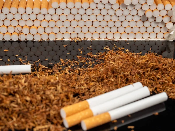 Тютюнові Сигарети Сигарети Тютюн Тютюн Крупним Планом — стокове фото