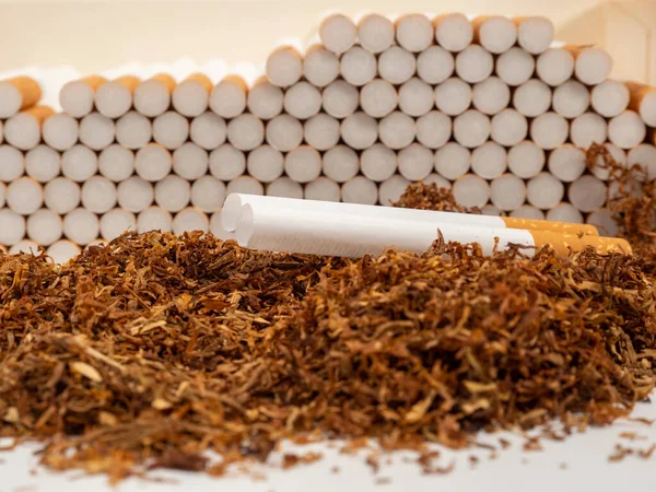 Тютюнові Сигарети Сигарети Тютюн Тютюн Крупним Планом — стокове фото