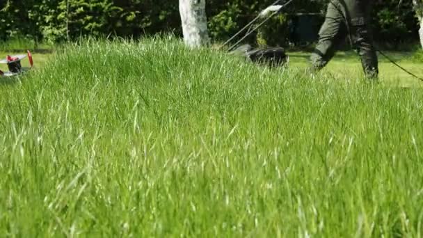 4,496Memotong rumput di halaman Βίντεο royalty-free Memotong rumput di  halaman Πλάνα - Σελίδα 2 | Depositphotos®