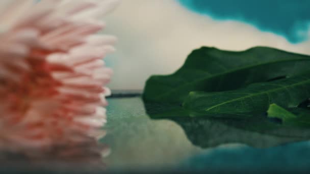 Spa Met Waterlelie Een Rustig Zwembad Spa Concept — Stockvideo