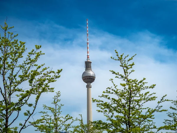 Alexanderplatz Torony Fák Ágai Mögött Berlin Németország Televízió Torony Berlin — Stock Fotó