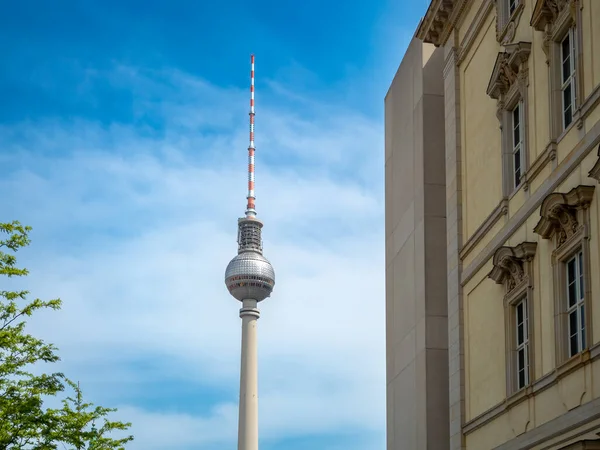 Alexanderplatz Torony Fák Ágai Mögött Berlin Németország Televízió Torony Berlin — Stock Fotó