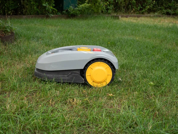 Stock image Robot lawnmower mows the lawn. Robot lawn mower close-up.