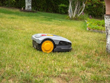 Robot çim biçme makinesi çimleri biçiyor. Robot çim biçme makinesi yakın plan..
